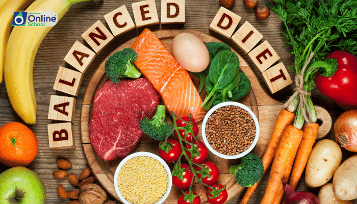 Lesson 08: Crafting Your Plate: A Guide to a Balanced Diet